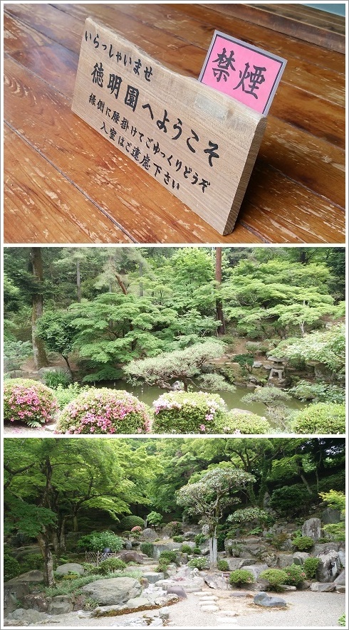 回遊式の日本庭園がある徳明園