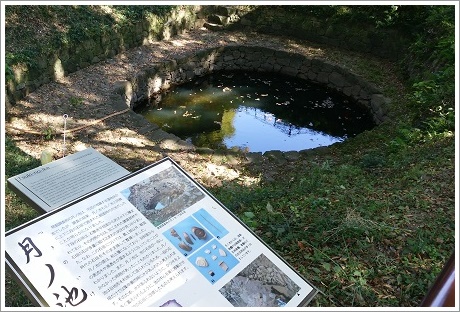 太田金山城址跡の月の池