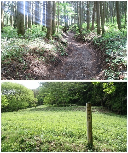 岩櫃城跡に続く登山道と中城跡
