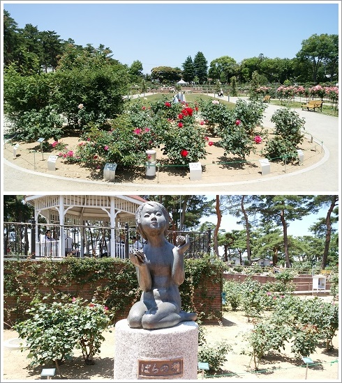 敷島公園ばら園内とバラの精石像