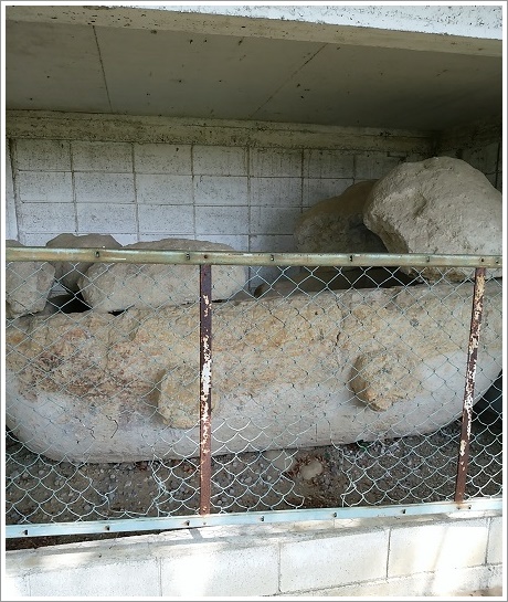 横から見た巨大な船形石棺（薬師塚古墳）