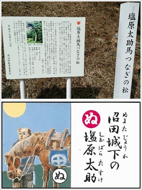 江戸への別れ馬つなぎの松案内板