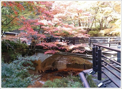 河鹿橋の手前にある橋と紅葉景色
