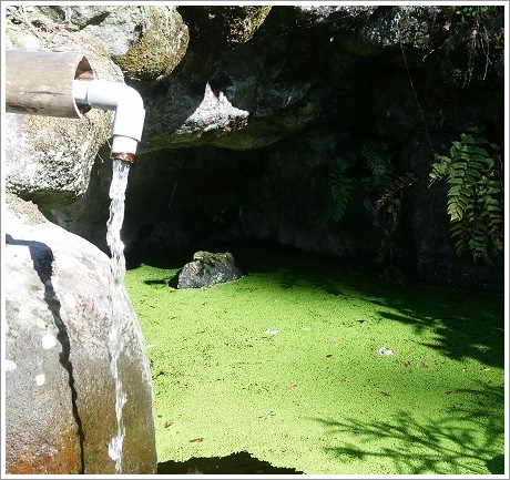清水が流れる池の薬師水牢跡