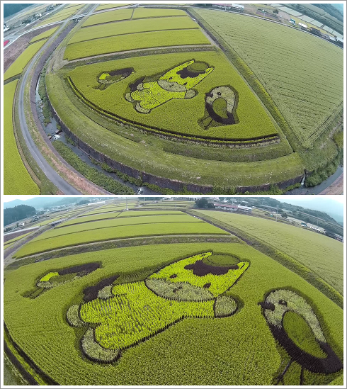 田んぼアートぐんまちゃんと干支