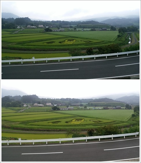 田んぼアートのビューポイントは道の駅中山盆地
