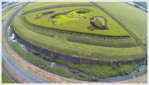 田んぼアート群馬ちゃん