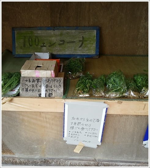 箱島湧水駐車場で無人野菜販売