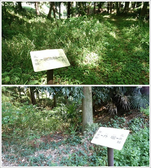 膳城跡袋曲輪と外堀