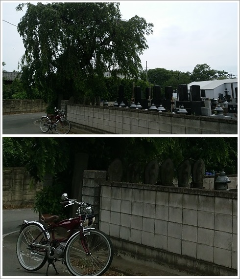 船津伝次平のお墓