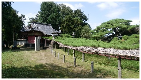 菅原神社と連取の笠松
