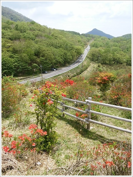 見晴山頂上付近から