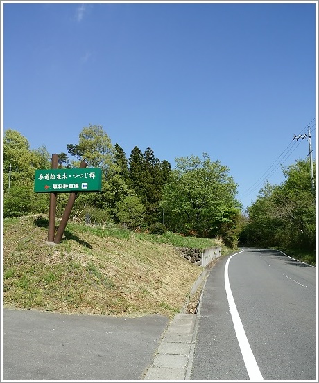赤城神社参道松並木とツツジ群の駐車場