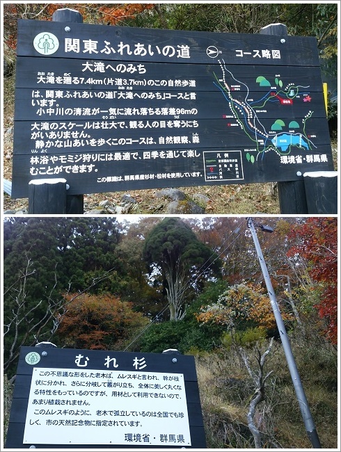 関東ふれあいの道とむれ杉