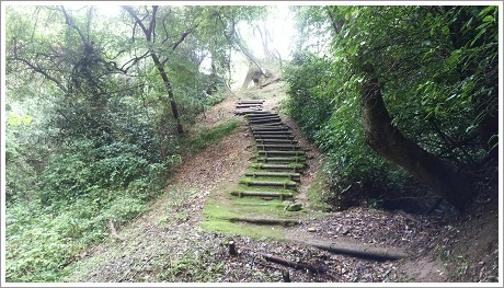 雁行川にかかる橋まで通ずる階段