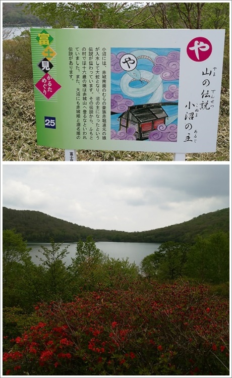 駐車場方面から見た赤城小沼