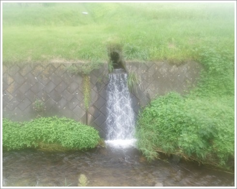 高山村の田んぼアート横の水路