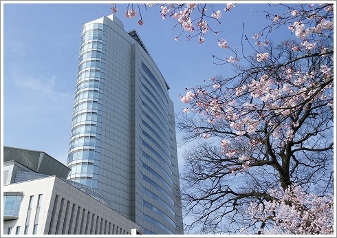 高崎市役所と市役所前の桜の木