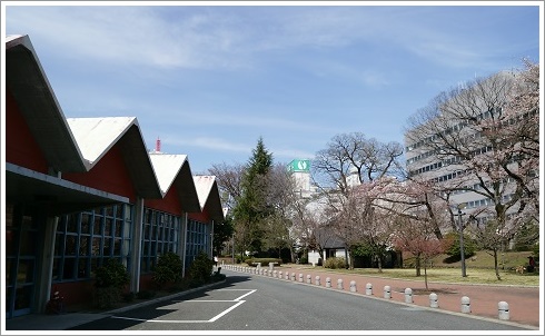 高崎市役所の前にある音楽センター