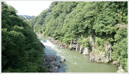 高津戸橋から見た景色