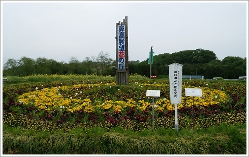 鼻高展望花の丘