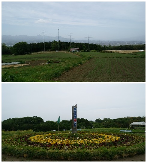 鼻高展望花の丘から見た榛名山