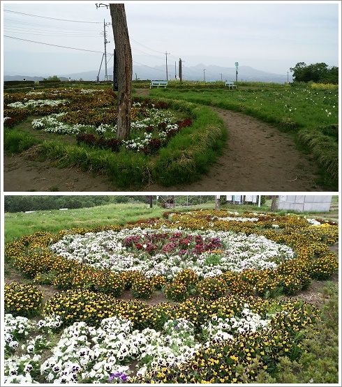 鼻高展望花の丘ベンチ休憩所
