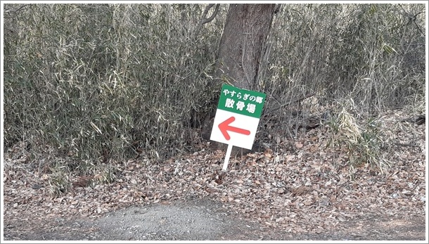 �₷�炬�̋��U����