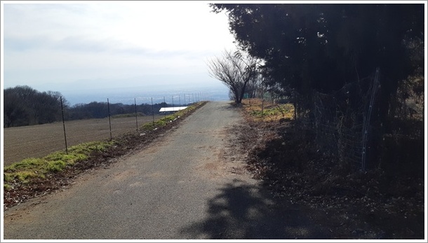 2026�N�ԏ�̂�������