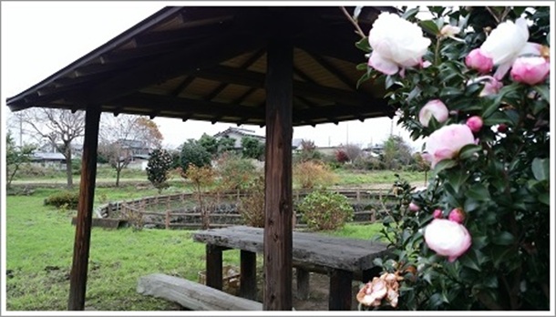 �N�����܂��r�̉��ɂ��邠�Â܉�