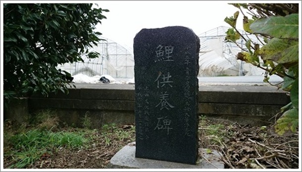 ��̋��{��i�N�����܂��r�j