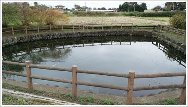 ��D��ɉj���ł���N�����܂��r