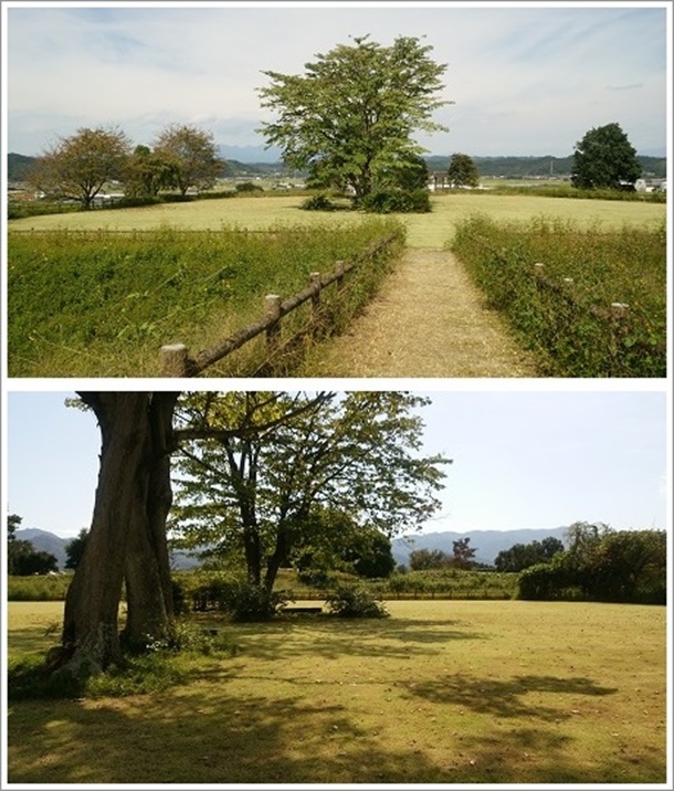 �����{�ہi����隬�����j