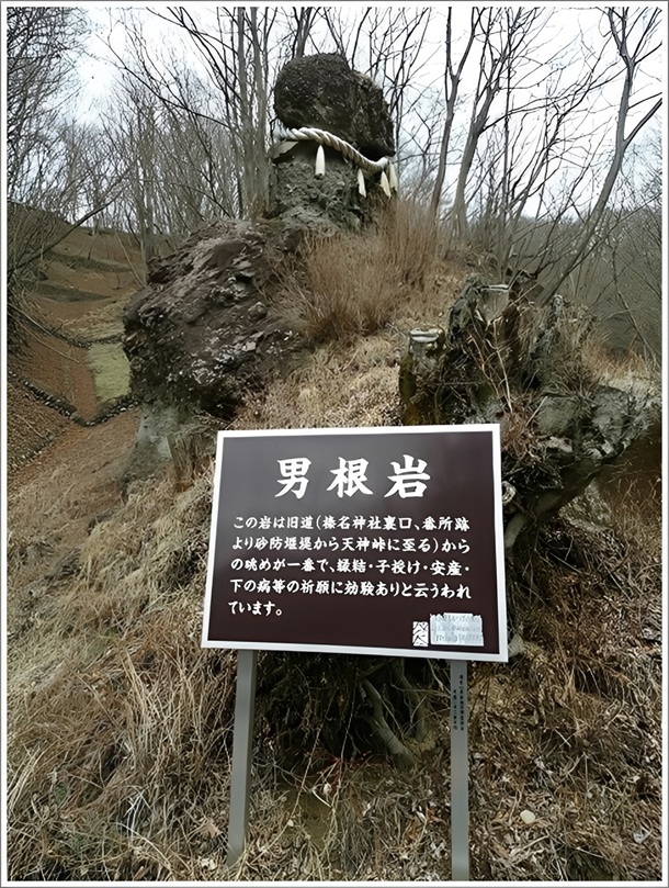 ご立派な男根岩です