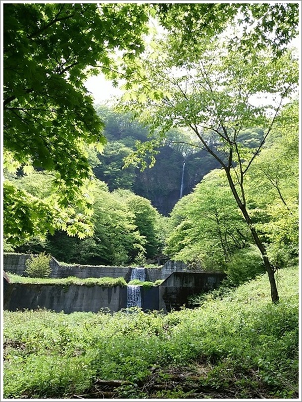 ���w�薼���D����ł�