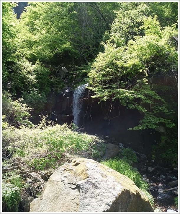 ����וX������D������ʂ̎B�e