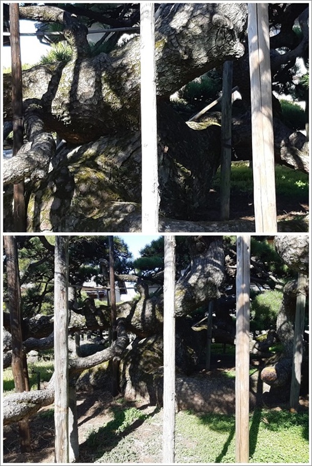 �����̑�}���̍��{�A�b�v