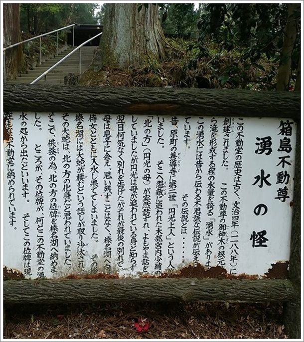 �����s�����̗N���̉��͕s�v�c