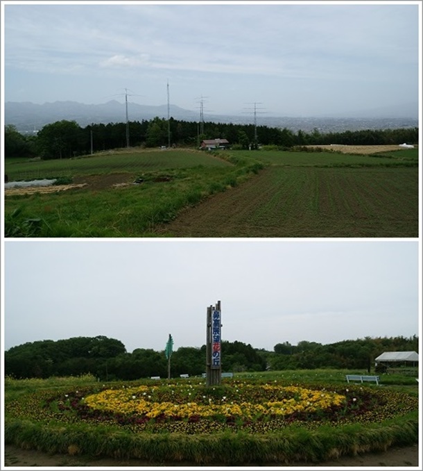 �@���W�]�Ԃ̋u���猩���Y���R