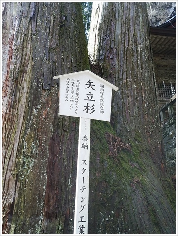矢立杉(榛名神社)