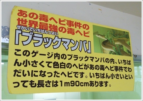 押収されたブラックマンバ