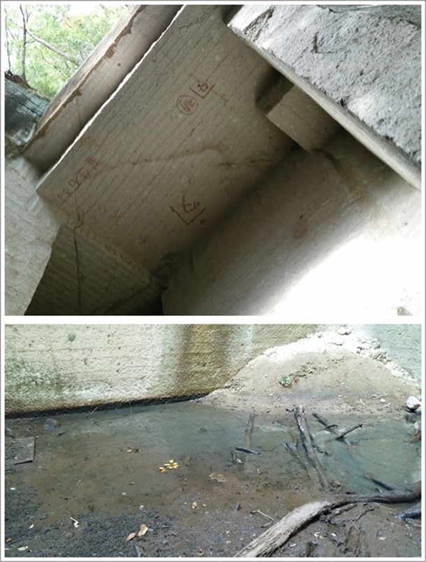 ���グ��Ɠ����̕��͋C���Y���i�M�ːΐ؂��Ձj