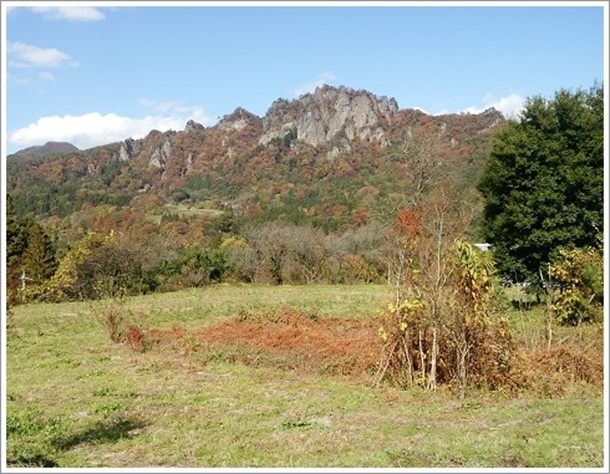 �W��802���[�g���̊�C�R�i����т�܁j