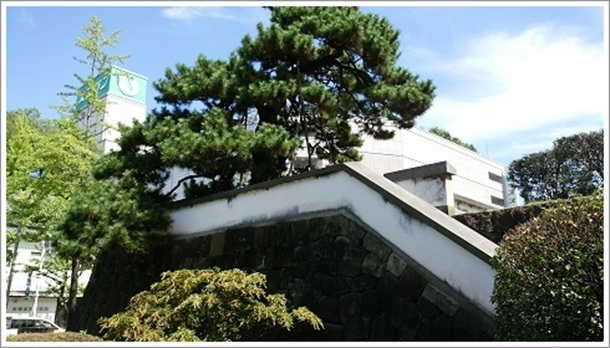 �X�Y�����f�p�[�g�O�ɂ���Ί_�Ə��i����隬�����j