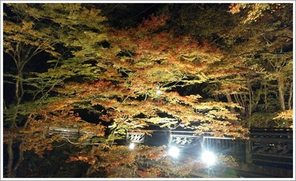 �ɍ��ۉ��򓒌��u�͎��������C�g�A�b�v�v