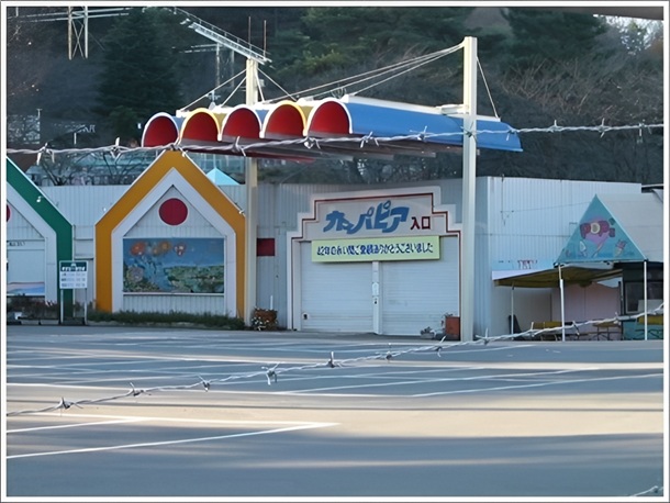 ���̊Ŕ�����J�b�p�s�A�̓�����ł�