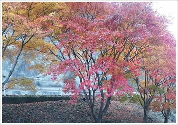 けさかけ橋小中大滝近くの紅葉景色