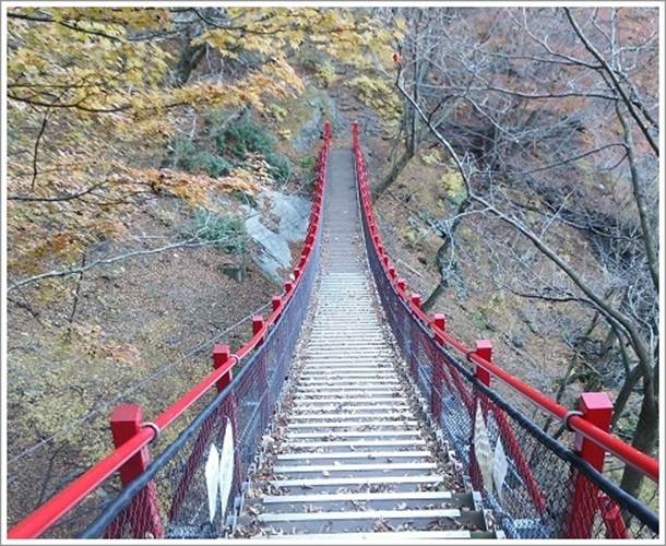 紅葉とけさかけ橋