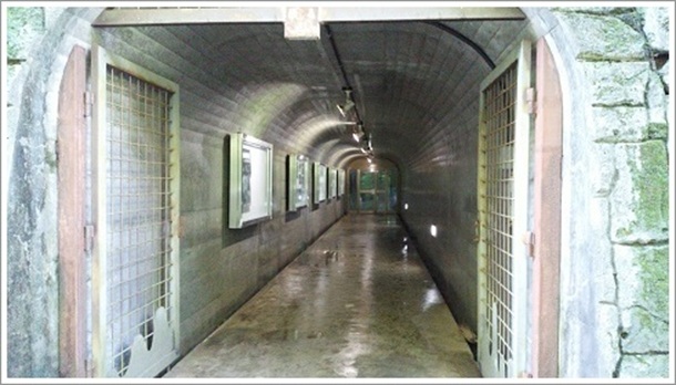 �����̗��ߓ�������