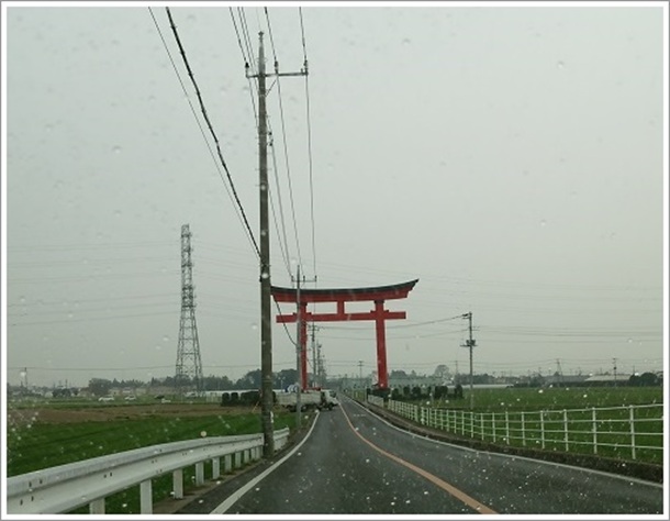 県内一の高さを誇る小泉稲荷神社の鳥居